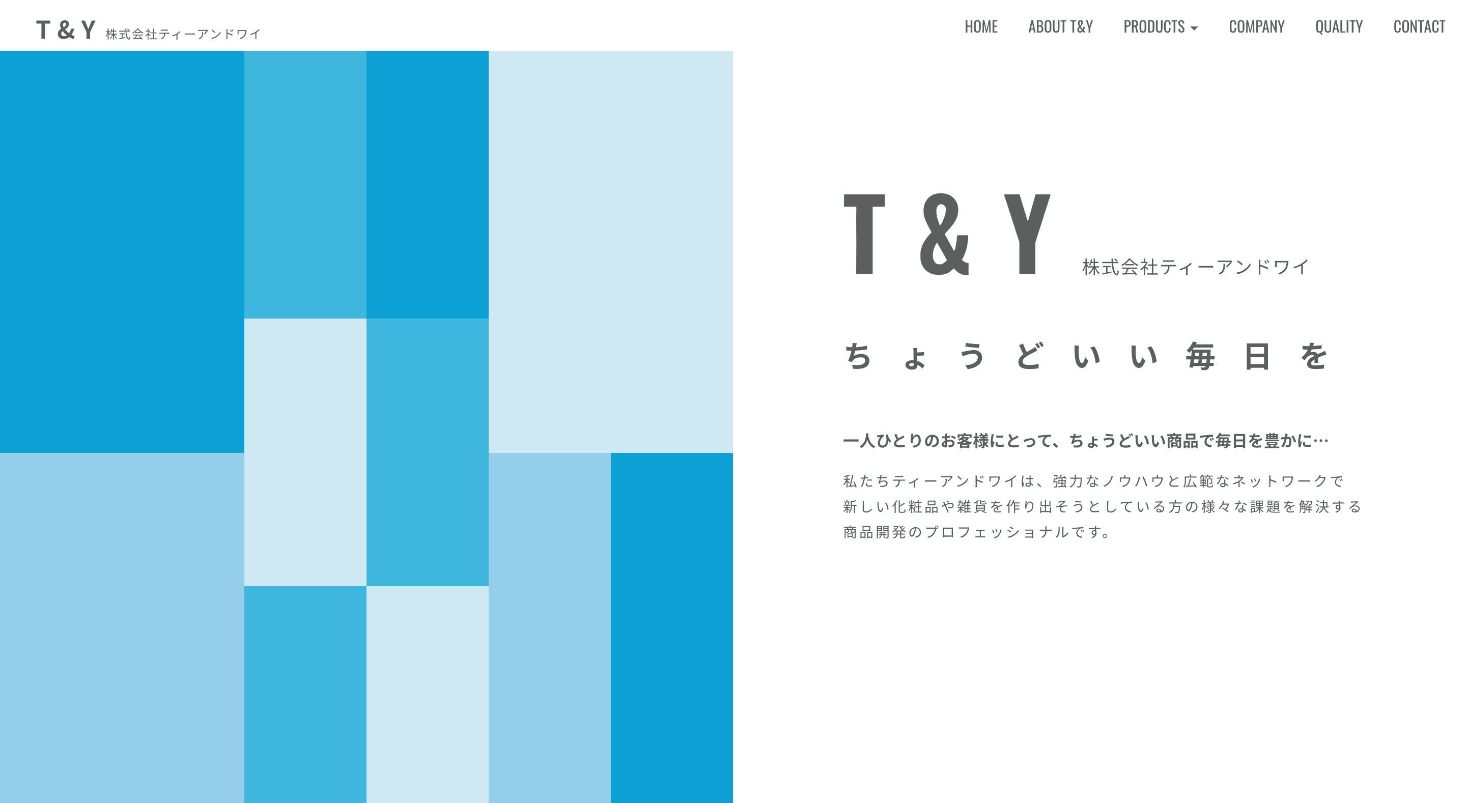 株式会社ティーアンドワイ